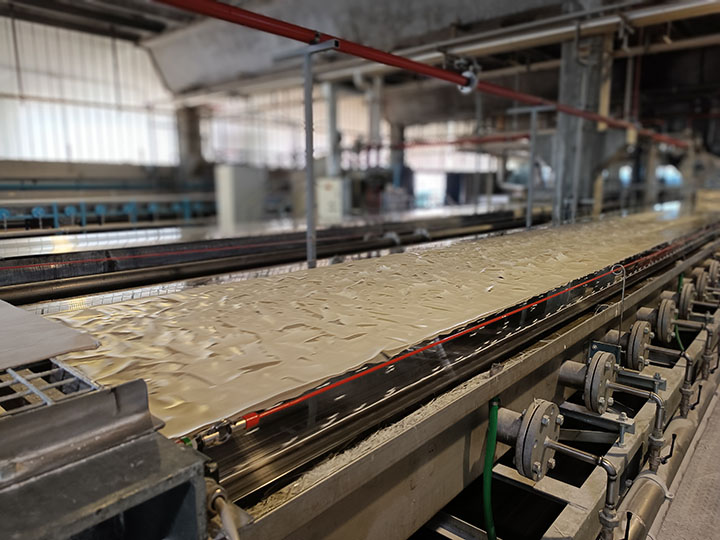 oleochimica processo